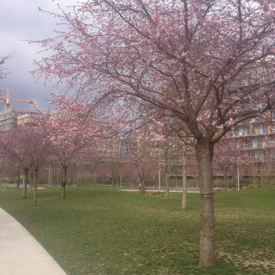 Parc Clichy-Batignolles - Martin Luther King