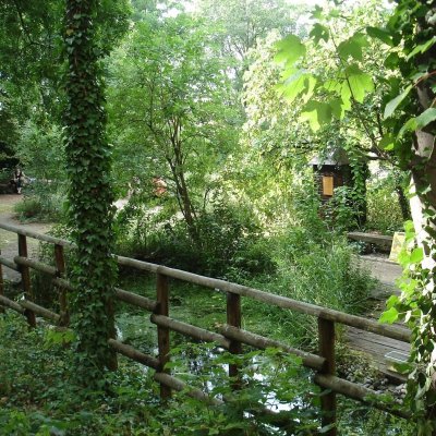 Jardin sauvage Saint-Vincent