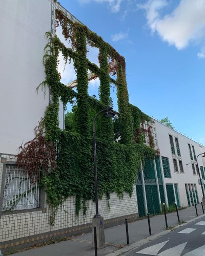 La Ferme urbaine Flora Tristan
