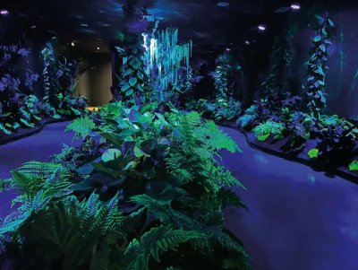 La Serre aux papillons