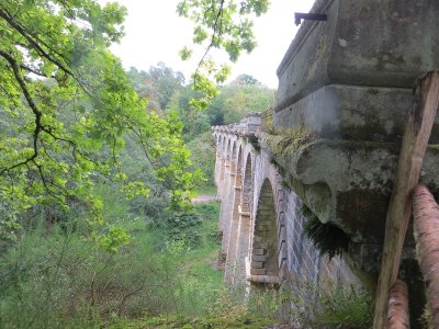 Sentier des biches n°5