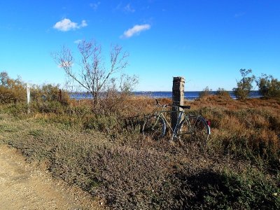 SAINTS-MARIES-DE-LA-MER - À vélo, du bac du Sauvage à Cacharel