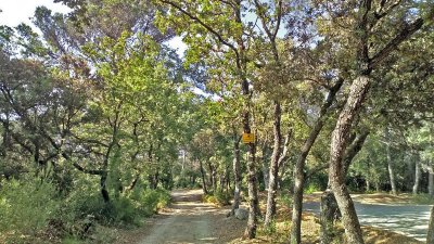 Circuit des Collines