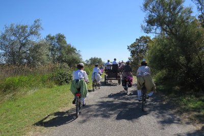 ARLES - Le chemin des taureaux à vélo