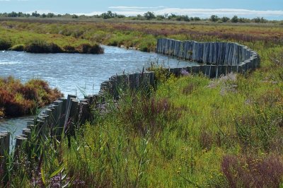 PORT-SAINT-LOUIS-DU-RHÔNE - They du Mazet, l'embouchure du Rhône