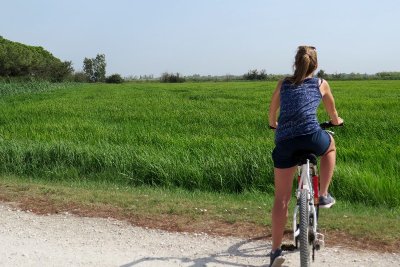 ARLES - Autour du riz et des chevaux de Camargue à vélo