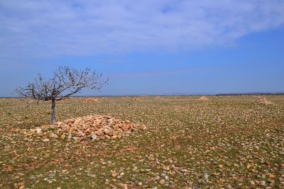 ARLES - De la Crau aux Marais du Vigueirat à vélo
