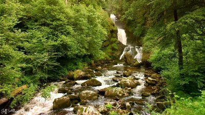 Point de vue du Chadon