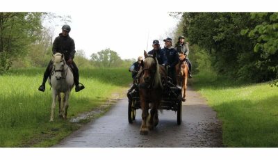 Les Attelages  des Cuirassiers