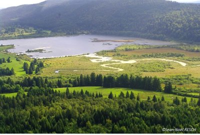 Les Aventures Fankarstiques - Ô des bois