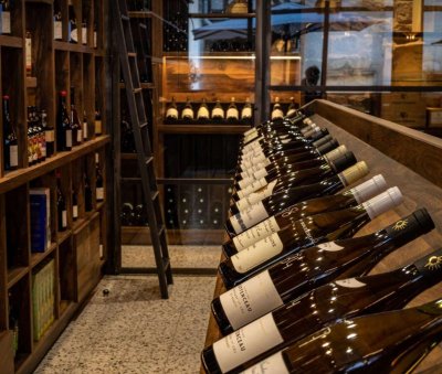 La Cave de l'Arche - dégustation découverte