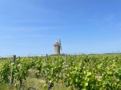 De Branne à Blasimon