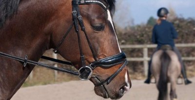 Centre équestre de Berny-Rivière