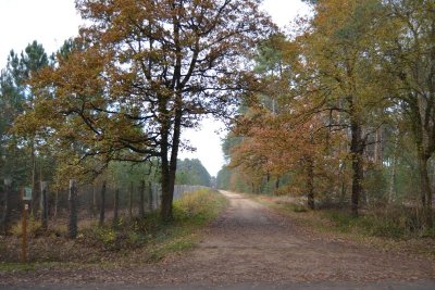 Le circuit des Buttes