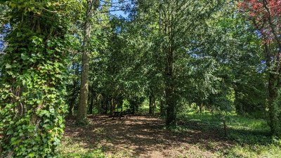 Arboretum de Brienne-le-Château