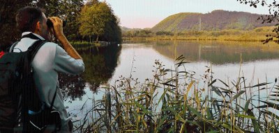 Parcours pédestre sur le sentier d'interprétation de la tourbière de Charamel