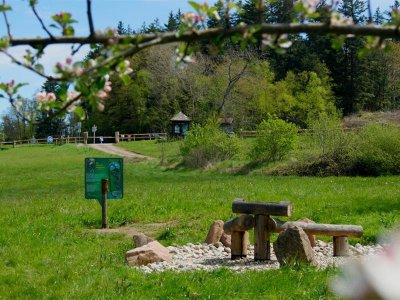 Balade famille : Le sentier du Sõtré à Ranrupt