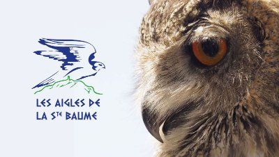 Fauconnerie Aigles de la Sainte-Baume