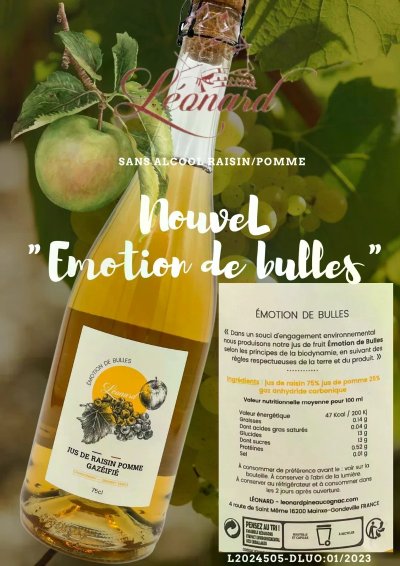 Visite Domaine Léonard Pineau Cognac