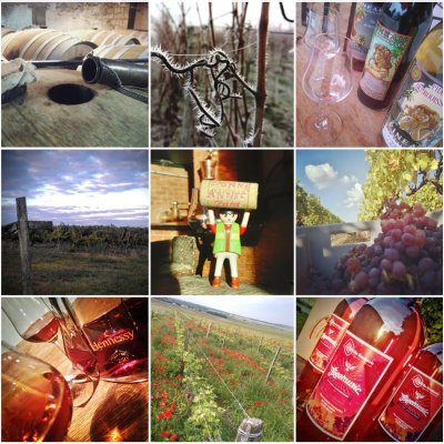 Visite Dégustation au Chai du Rouissoir