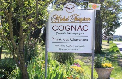 Visite Cognac Michel Forgeron