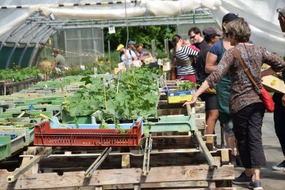 Marché aux Nouveaux Jardins de la solidarité
