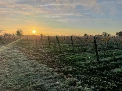 Visite Cognac Brard Blanchard