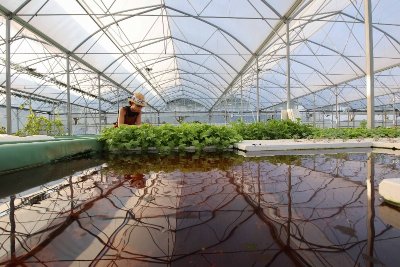 Visite de la ferme Intégrale