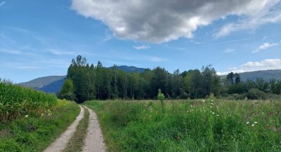 Sentier pédestre de l'ancien méandre du Saugey