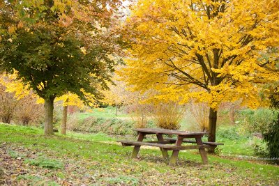 Arboretum de Rouy-le-Petit