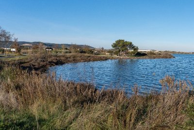 L'ÉTANG DES MOUETTES