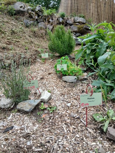 Jardin botanique de la Galinière