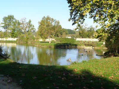 Balades à roulettes : Bourg-sur-Gironde