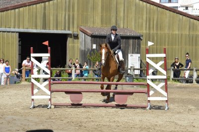 Les écuries de la Marne