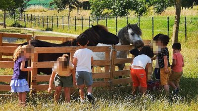 Ferme la patte sur le feel