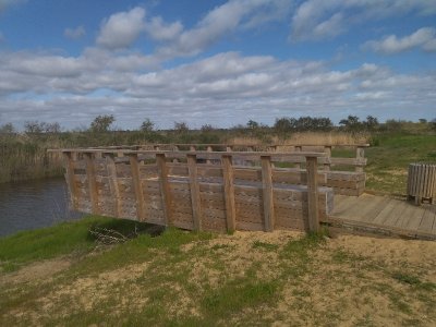 Balade à roulettes : Le port du Teich