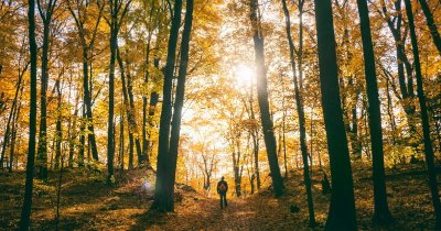 Parcours d'orientation "Rando-Trail"
