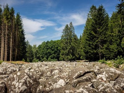 Micro-aventure - L'échappée au fil de l'eau, les perles cachées de la Vologne