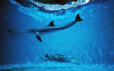 Histoires et jeux pour petits curieux