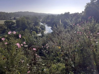 32 - Boucle des orchidées - Orval