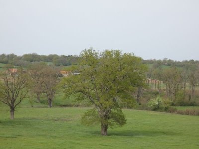 30 - Boucle de la Greugne - Orcenais