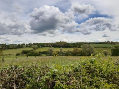 29 - Boucle des rois - Orcenais