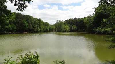 L'Etang du Flaquet