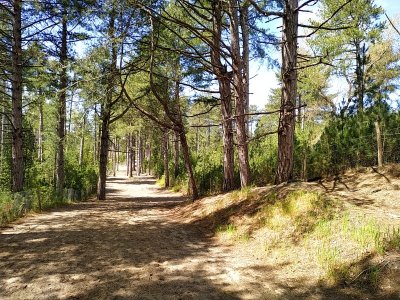 Sentier d'accès à la mer