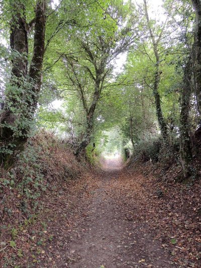 Saint-Amand-sur-Sèvre : circuit n°1, Le tour du bourg avec explications de l'histoire et du patrimoine