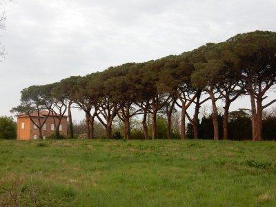 DOMAINE DE LA MARTINETTE