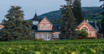 Domaine Henri de Villamont - Dégustation Terroir