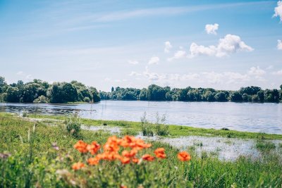 Confluence de la Maine et de la Loire
