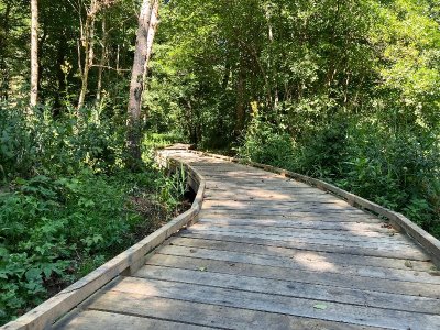 Promenade Confort du Bourget-en-Huile