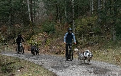 La vallée des laïkas -  kart, cani-trottinette et cani-rando